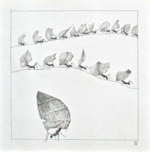 Anita Kreck, "Auf Hamstertour", Bleistiftzeichnung, 50 x 50 cm, 625 EUR