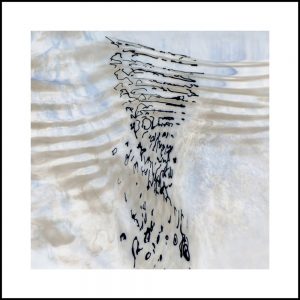 Werner Prinz, Fragment (aus der Serie Wasser-Zeichen), Fotografie, 40 x 40 cm im Rahmen / 50 x 50 cm, 300 €